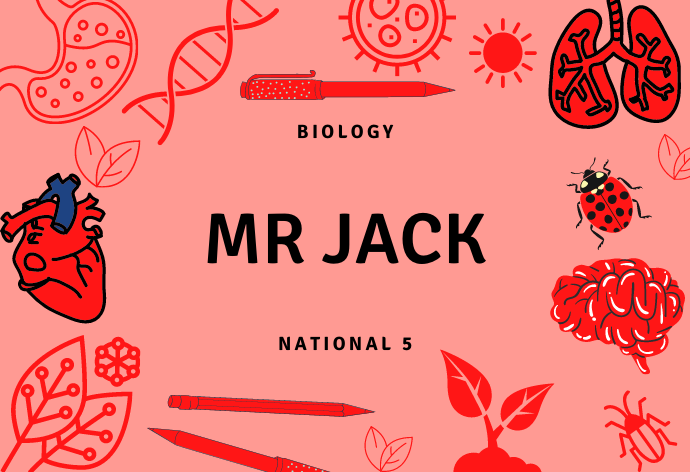 Mr Jack